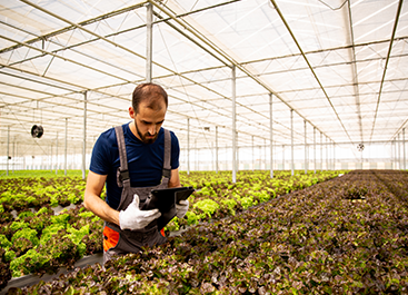 Modern Agriculture Solutions