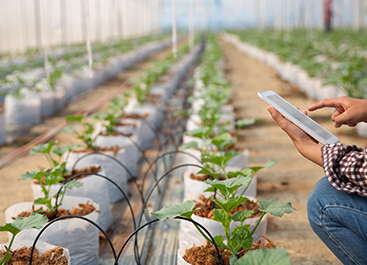 Smart Farming Technology