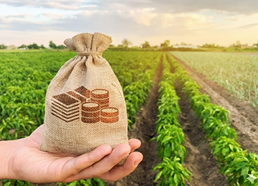 Agro Export Services